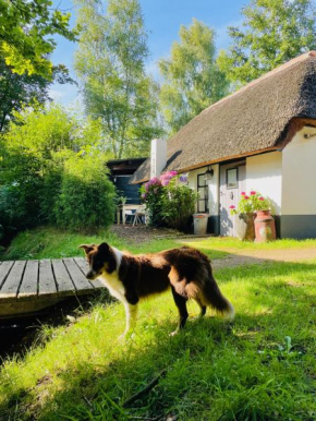 Bakhuisje op de Veluwe, Heerde